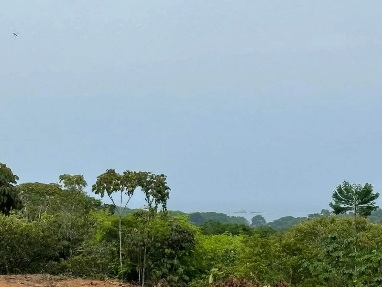 Vista desde la terraza