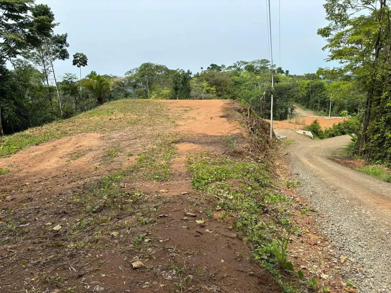 Jardín de la propiedad