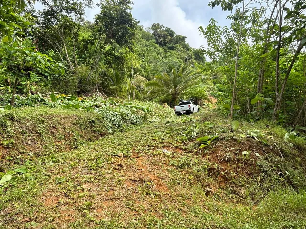 Vista desde la terraza