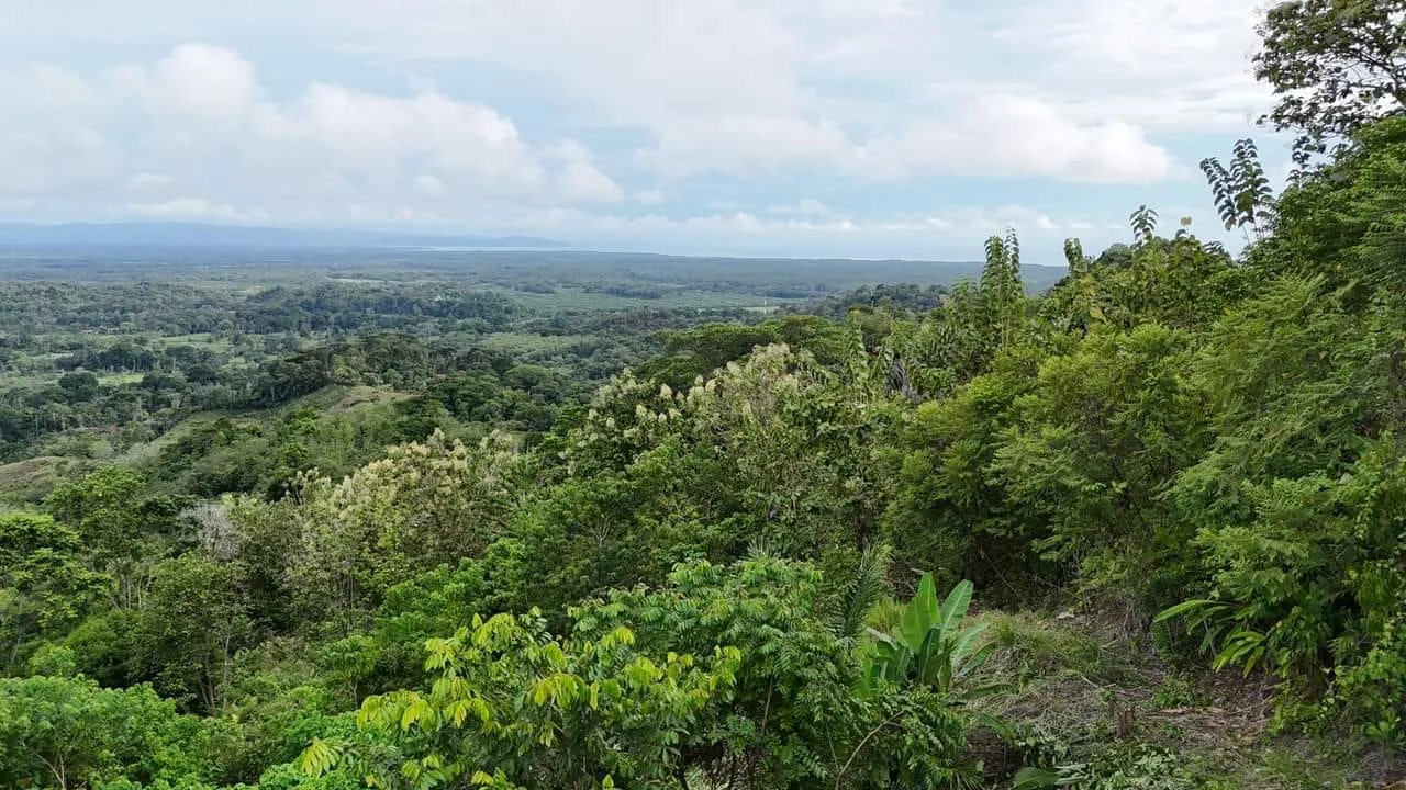 Jardín de la propiedad