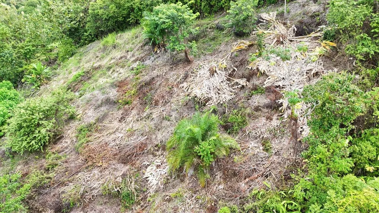 Vista de la propiedad desde el mar