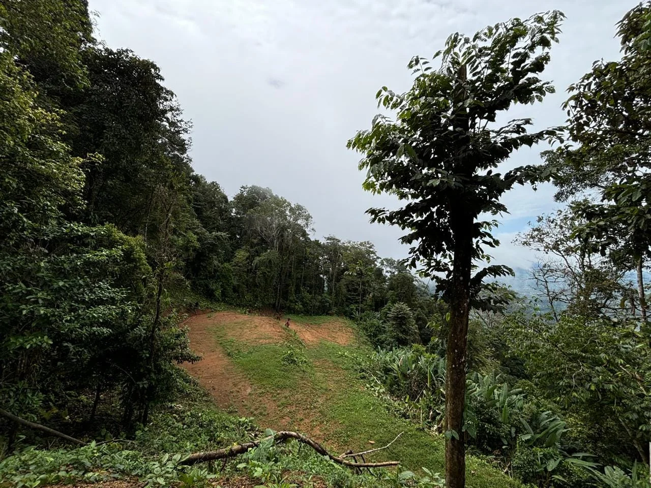 Otra vista desde la terraza