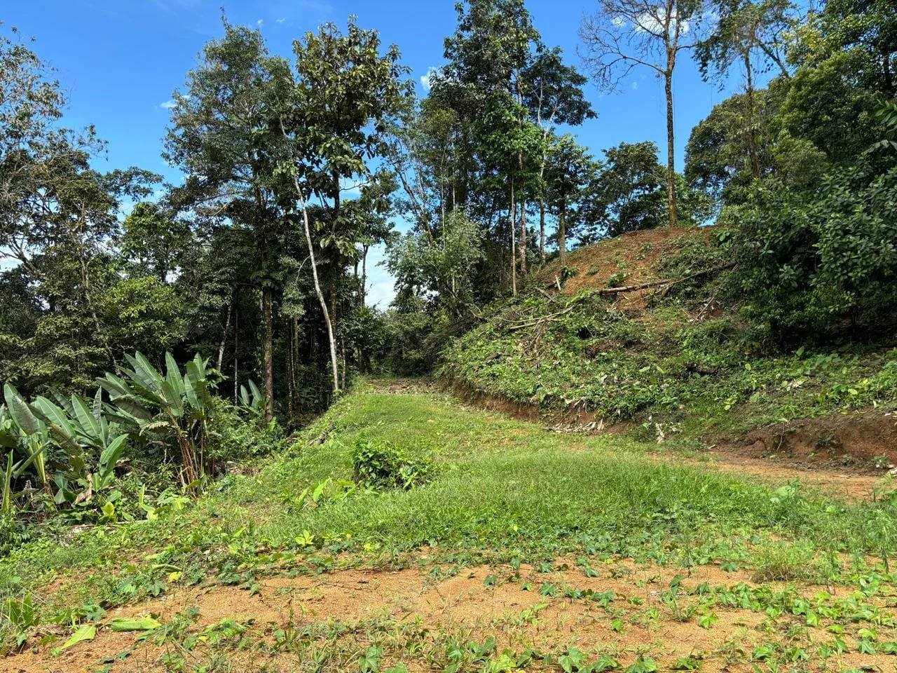 Vista de la propiedad desde el mar