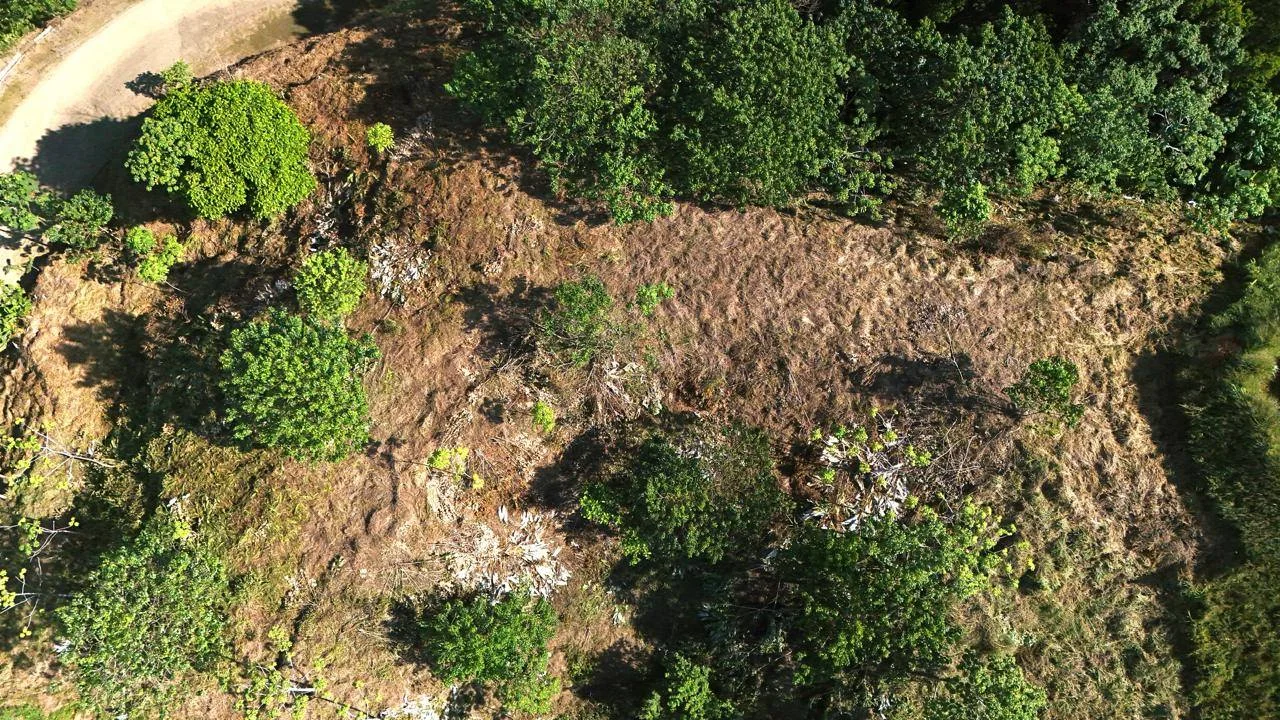 Otra vista desde la terraza