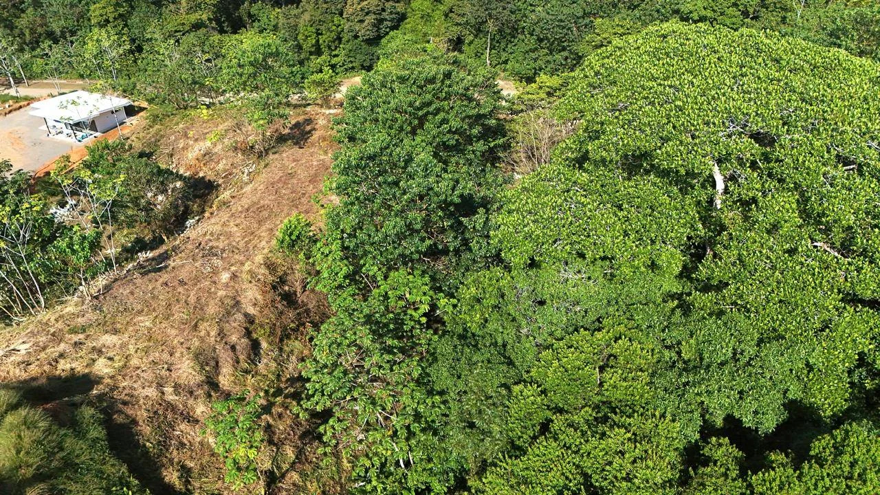 Piscina de la propiedad