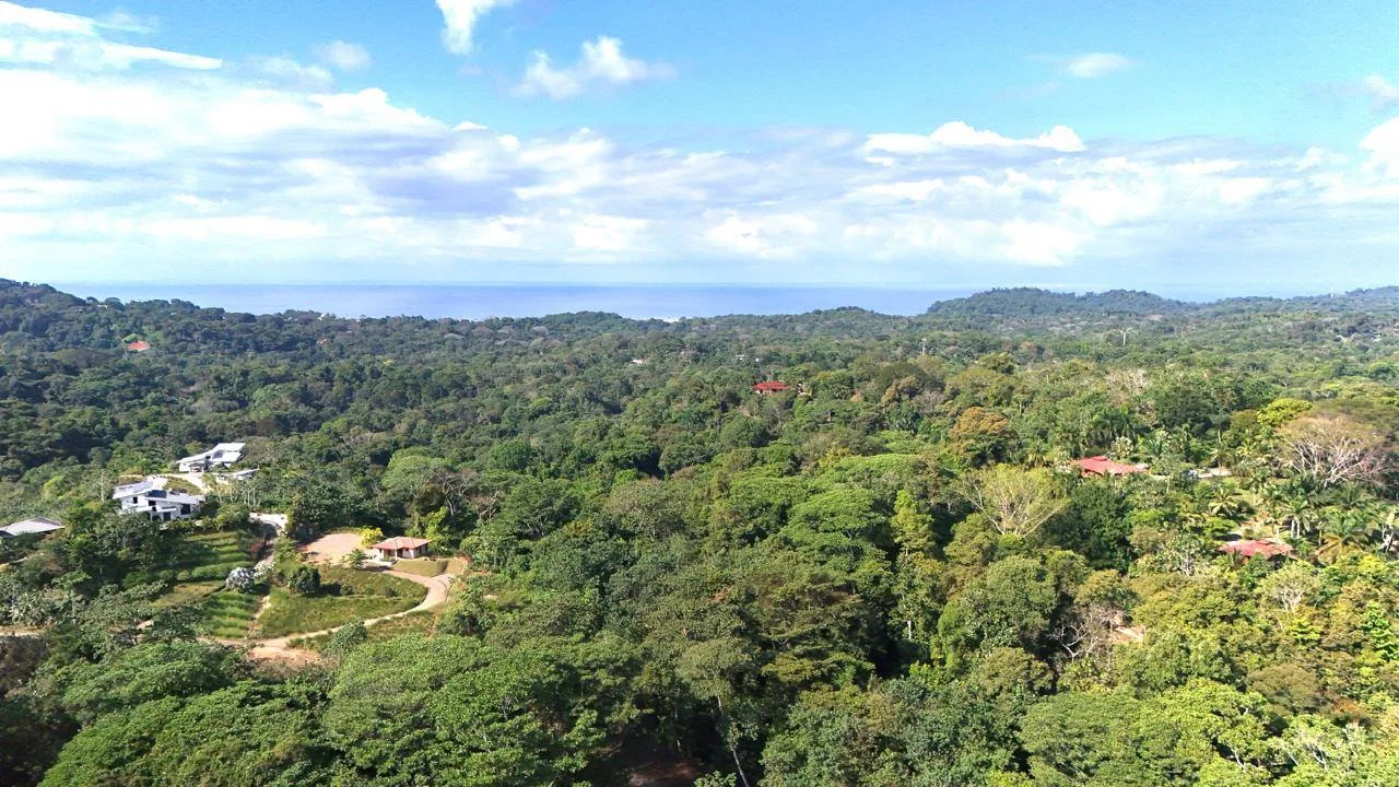 Piscina de la propiedad