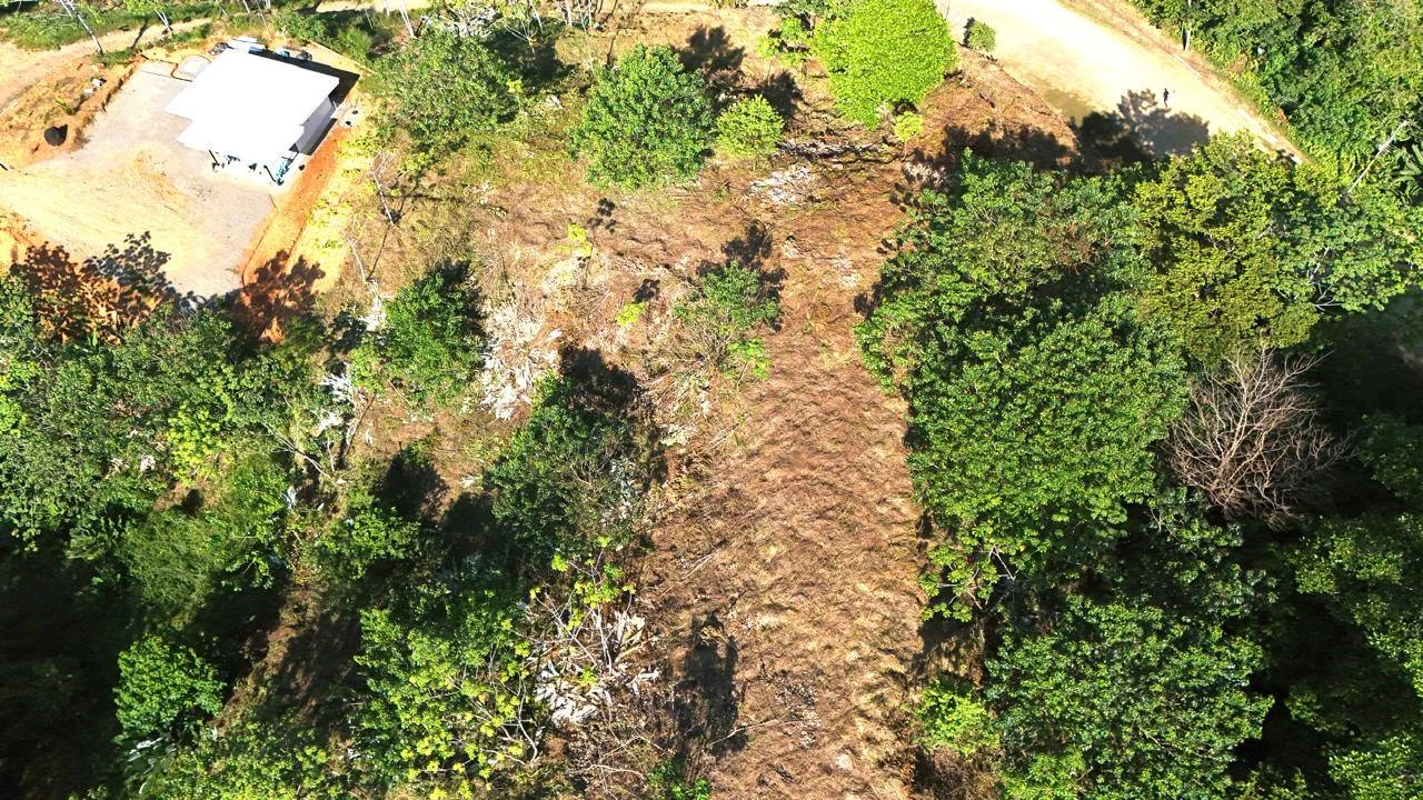 Piscina de la propiedad