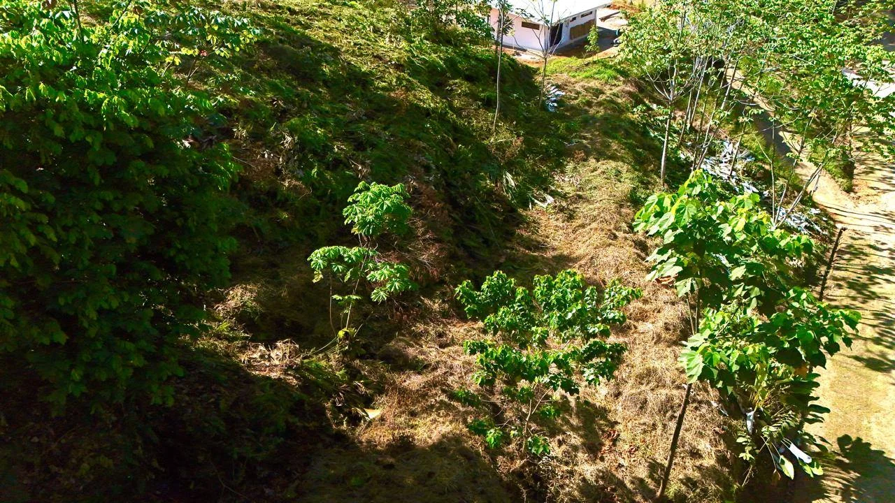 Vista de la propiedad desde el mar