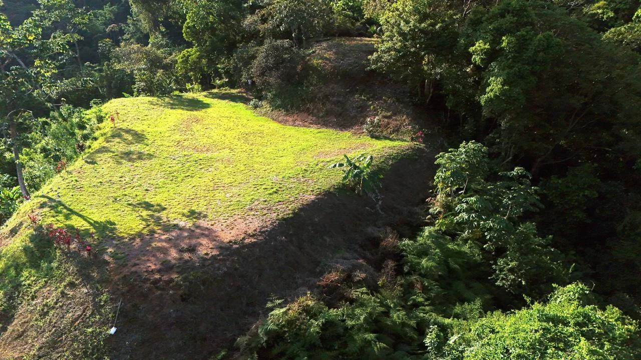 Piscina de la propiedad