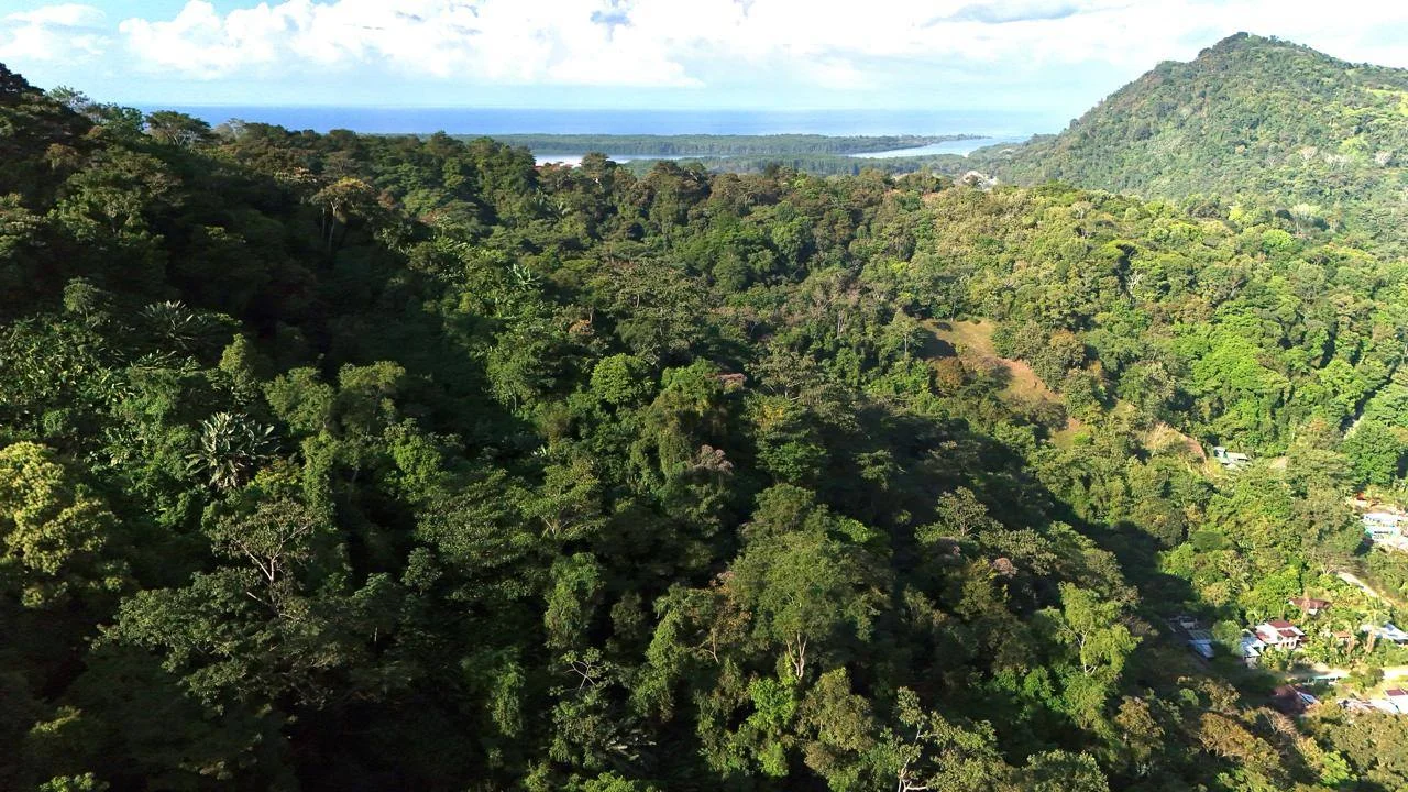 Piscina de la propiedad