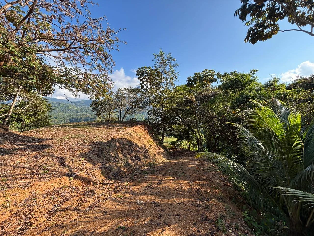 Piscina de la propiedad