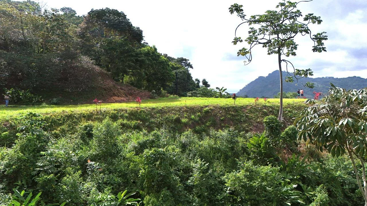 Vista de la propiedad desde el mar