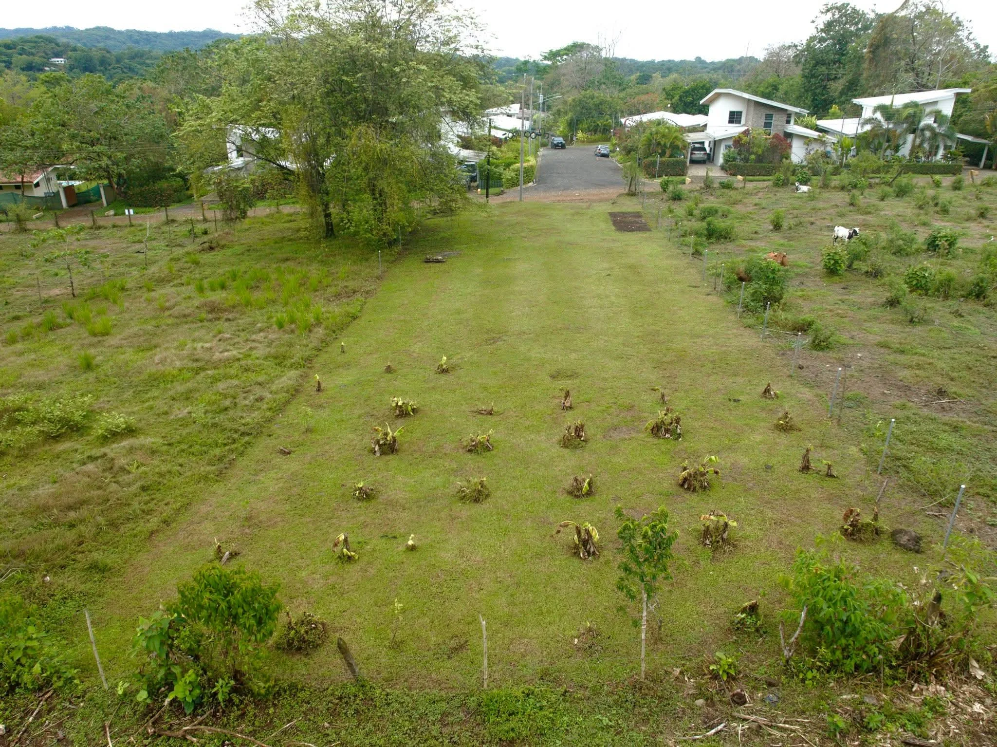 Vista principal